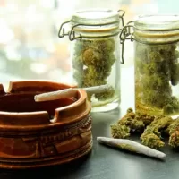 Best Cannabis Storage Containers